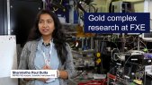 Research at the European XFEL: Femtosecond X-ray experiments research on gold complexes