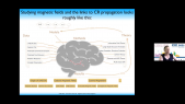 thumbnail of medium Session Record: 01 Magnetic Fields and CR Propagation | CRI 